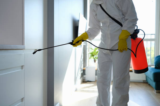Best White Mold Remediation in Fox Lake, WI