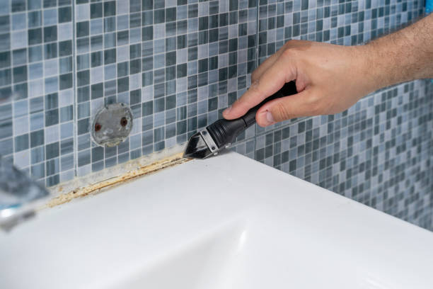 Best Preventive Mold Services in Fox Lake, WI